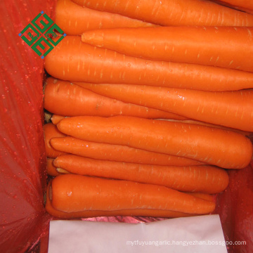 2017 chinese fresh carrot